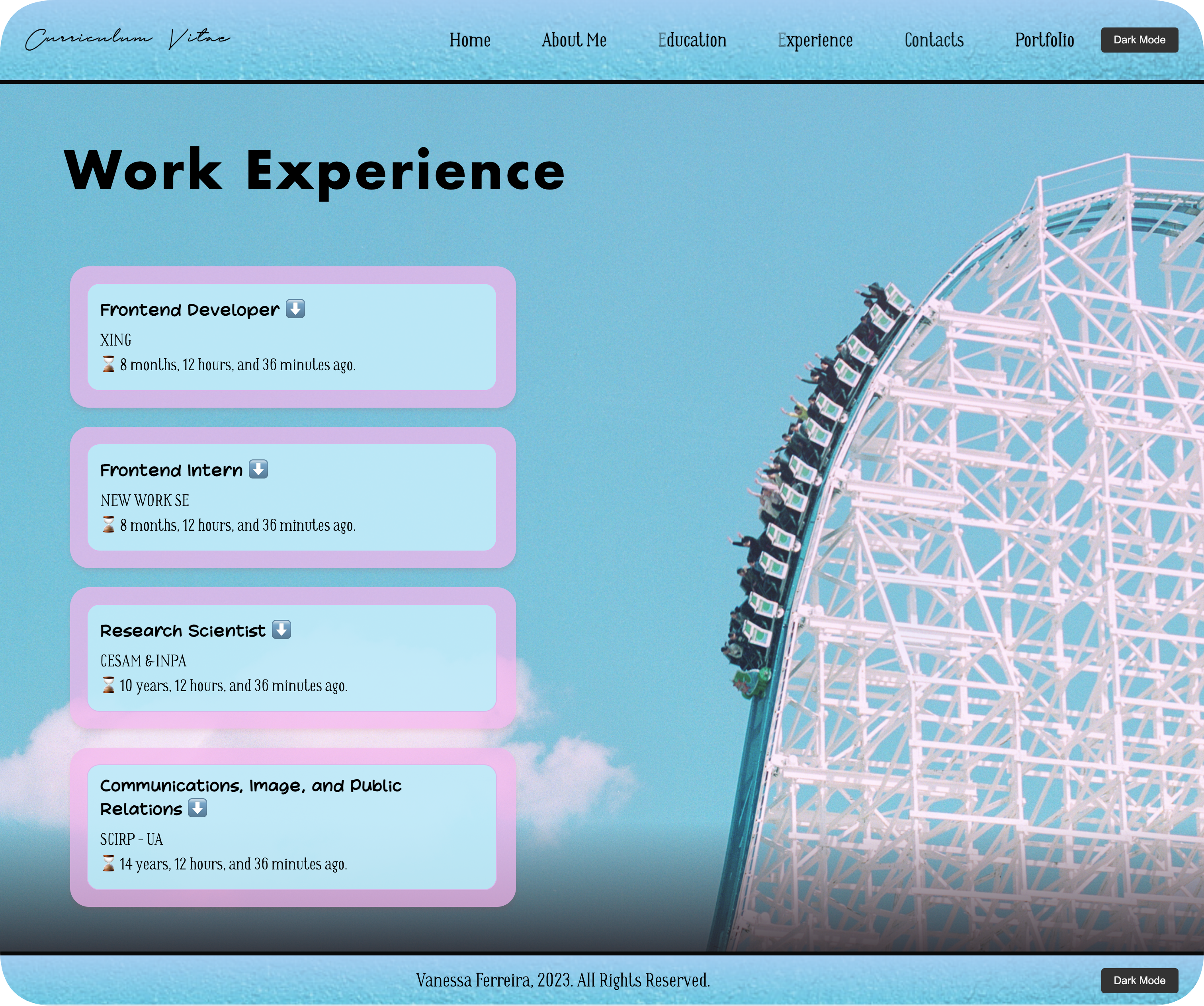 CV experience